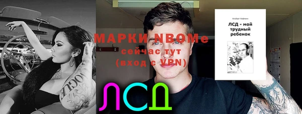 мдпв Михайловск