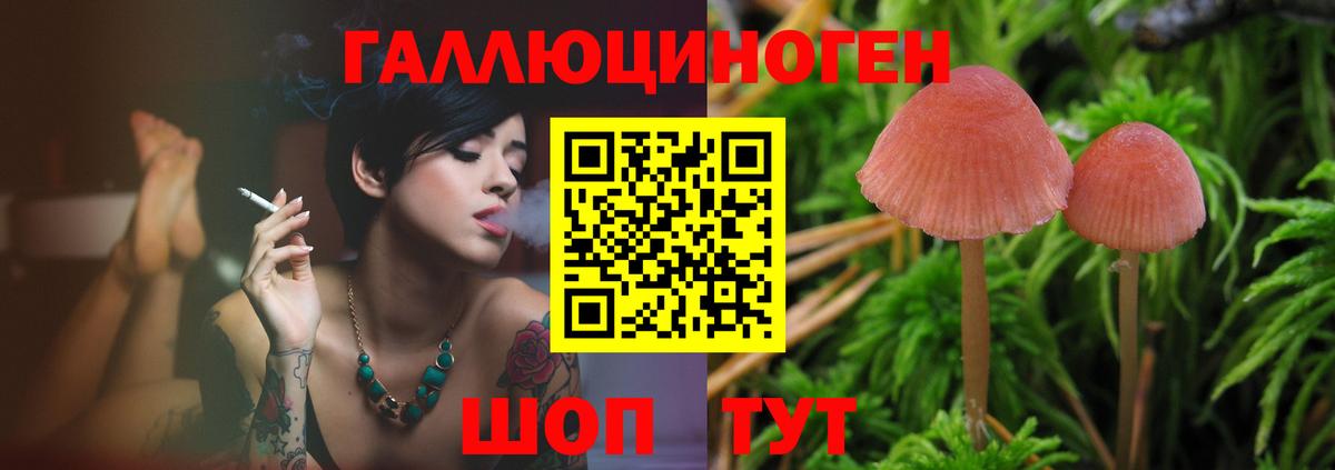 где можно купить наркотик  Галлюциногенные грибы Psilocybe  Вход с VPN  Псилоцибиновые грибы GOLDEN TEACHER  Усть-Кут 
